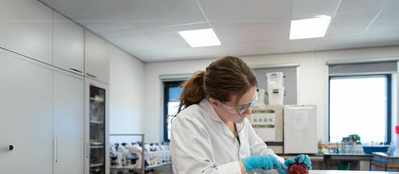 Biologisch Medisch Analist